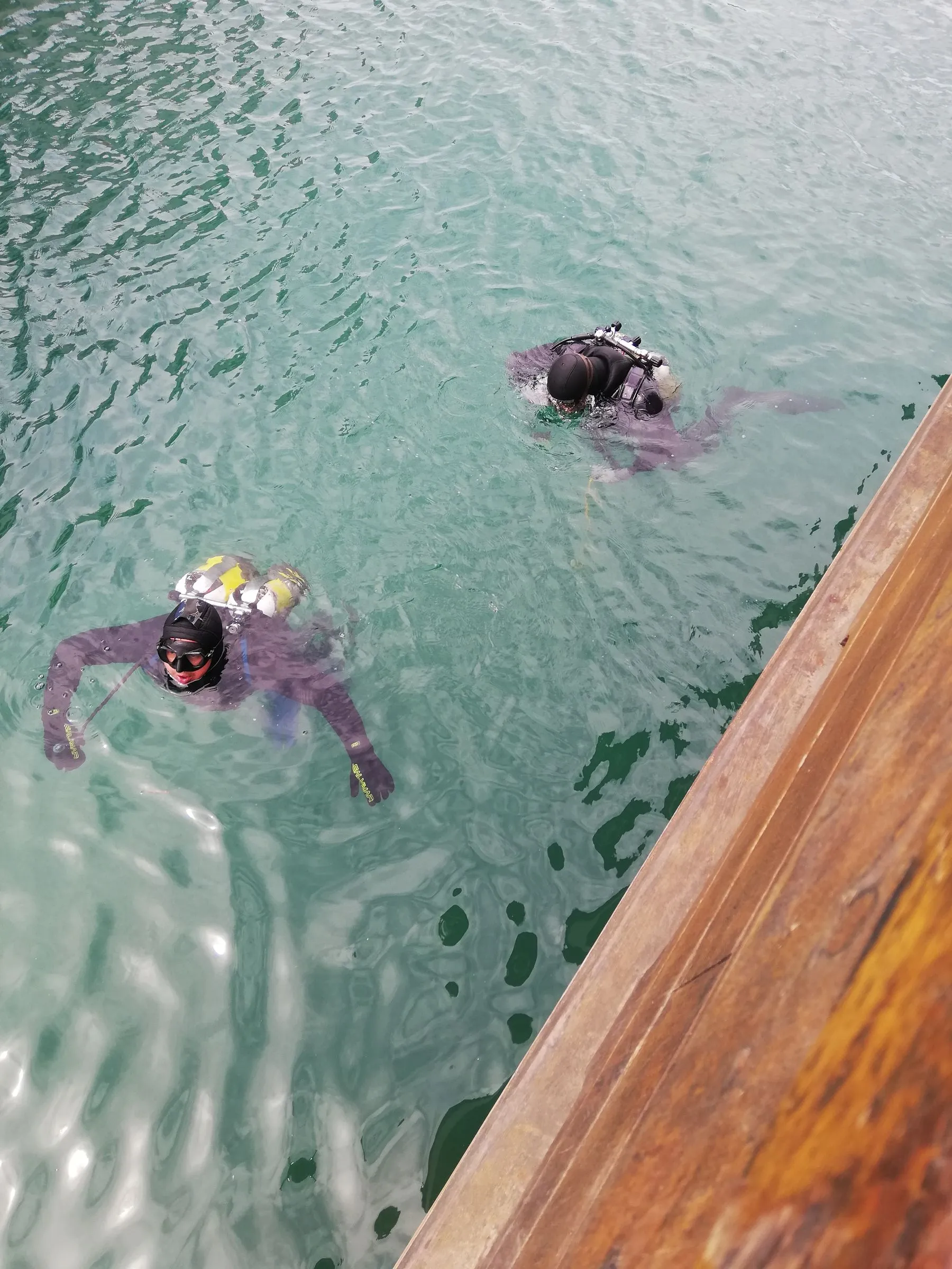 Twee duikers die samen aan het wateroppervlak blijven
