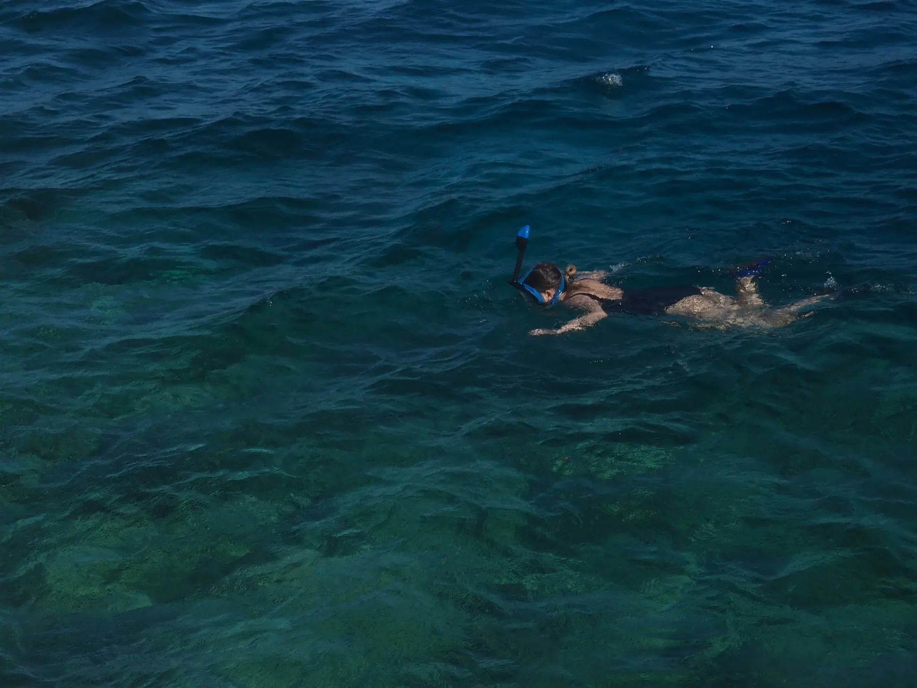 Snorkelaar die in open water naar de bodem kijkt